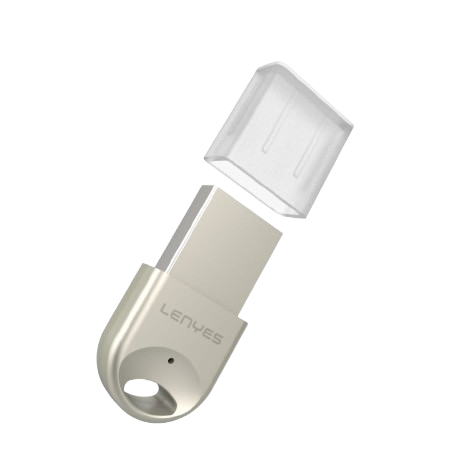 LENYES Bluetooth Receiver ｜ LR202
