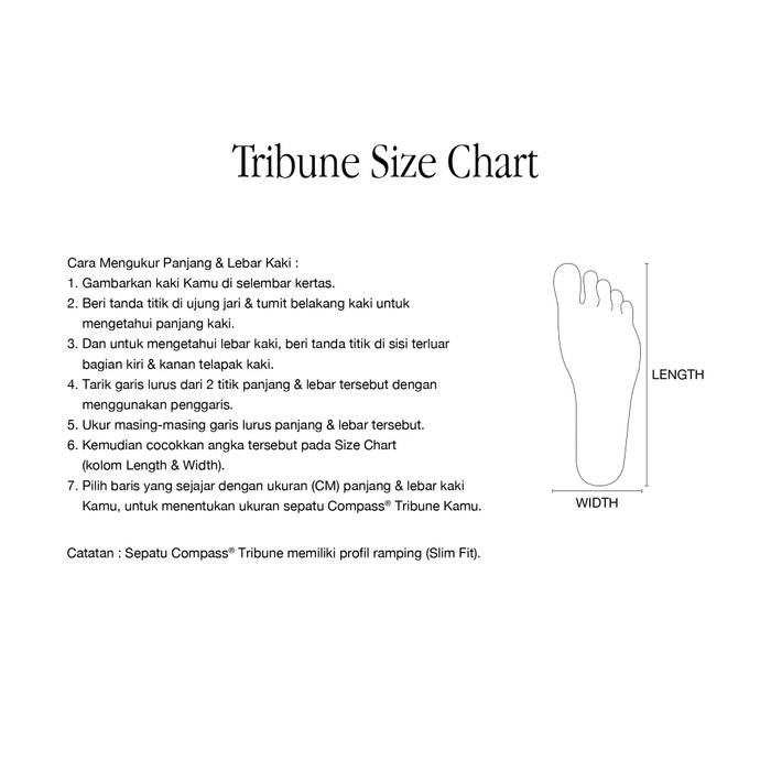 Kompas Mas Compass® Tribune Black Gum