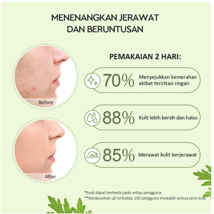 Glad2Glow  Real Mugwort Salicylic Acid Acne Control Clay Mask 