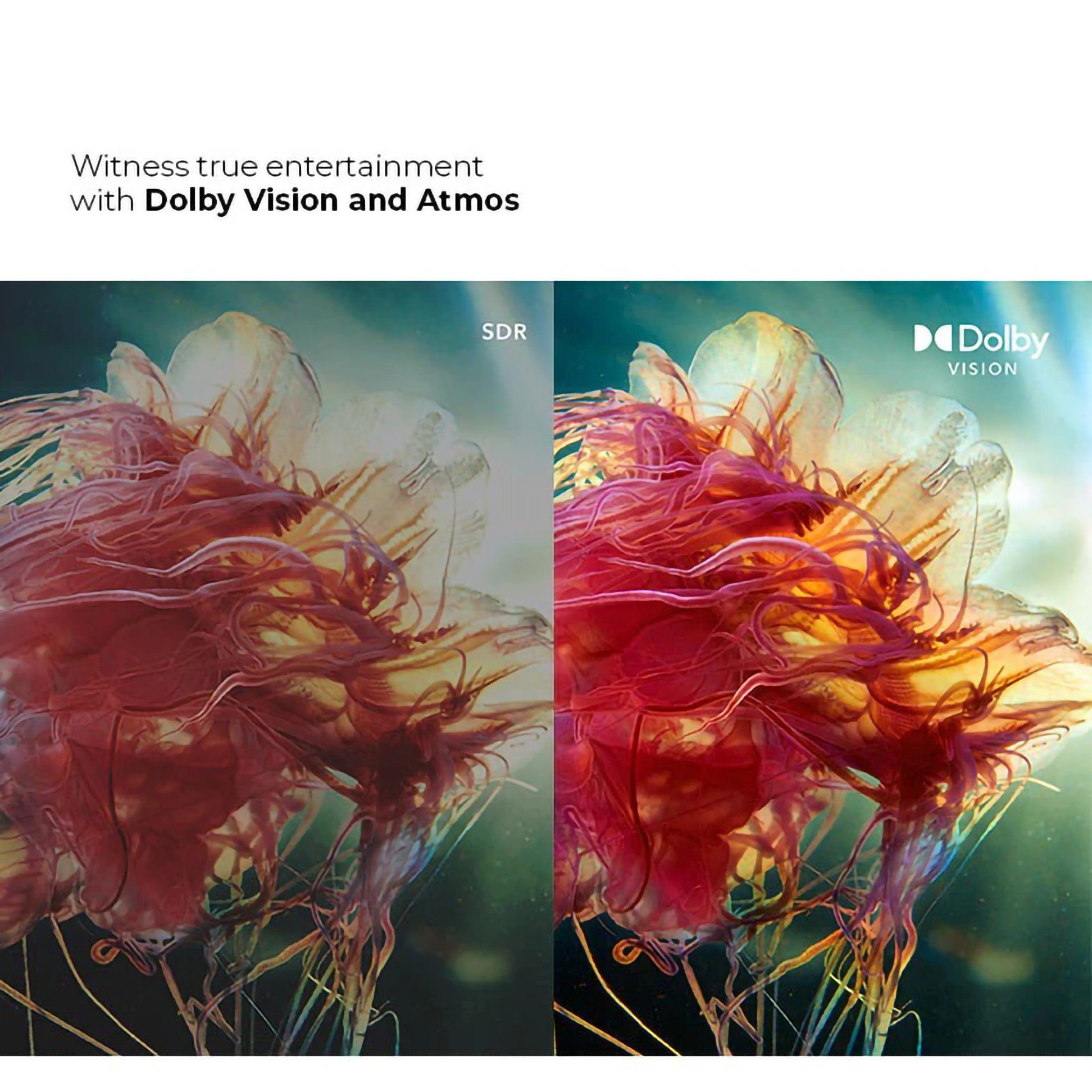 Hartono Istana Teknologi Polytron Smart Google TV PLD-43UG5059