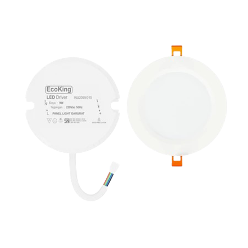 EcoKing LED Digi Inbow Panel Light 1
