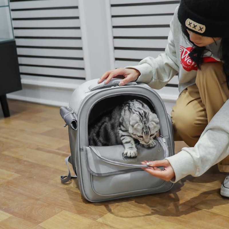 Moorpet Pet Carrier Travel Bag 5