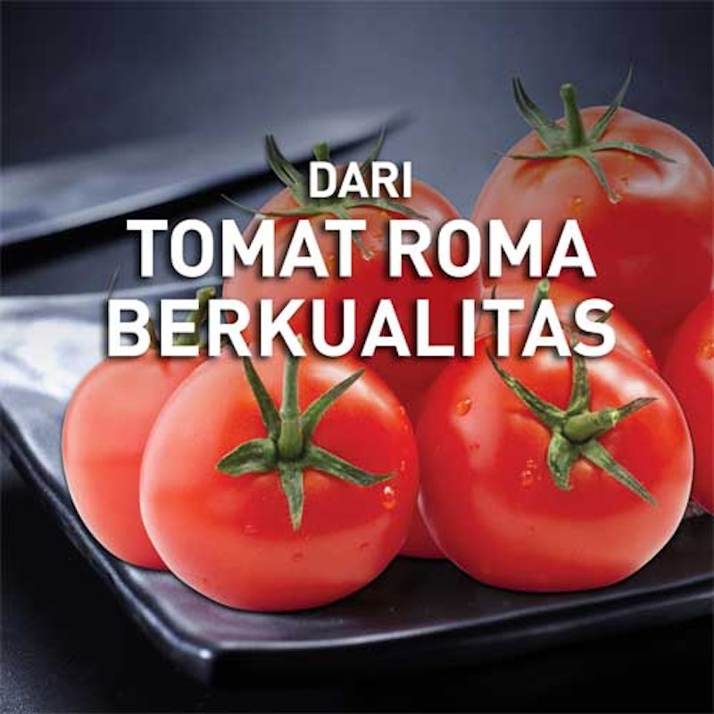Knorr Tomato Pronto Sauce 3