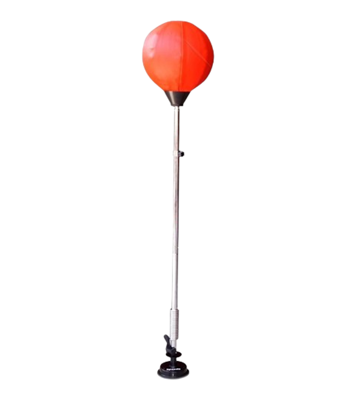 Speed Standing Boxing Ball 1