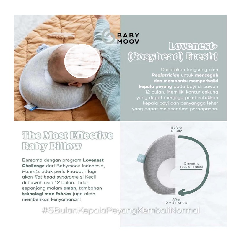 Babymoov  Babymoov Lovenest+ Cosyhead Fresh  A050224