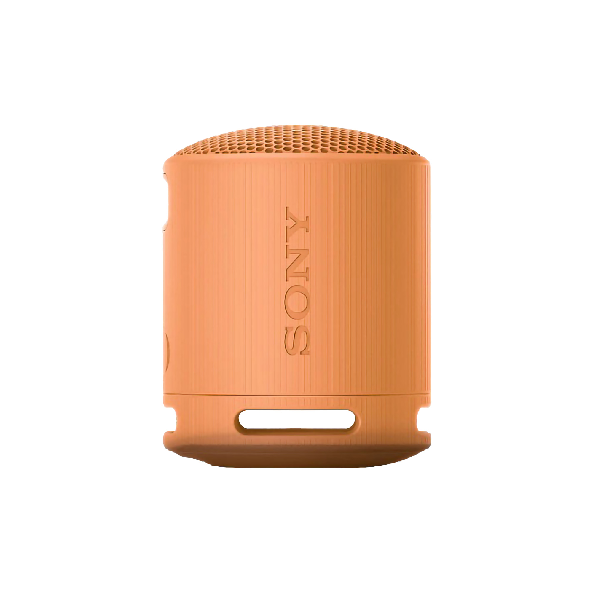 Sony Indonesia Sony Portable Wireless Speaker SRS-XB100