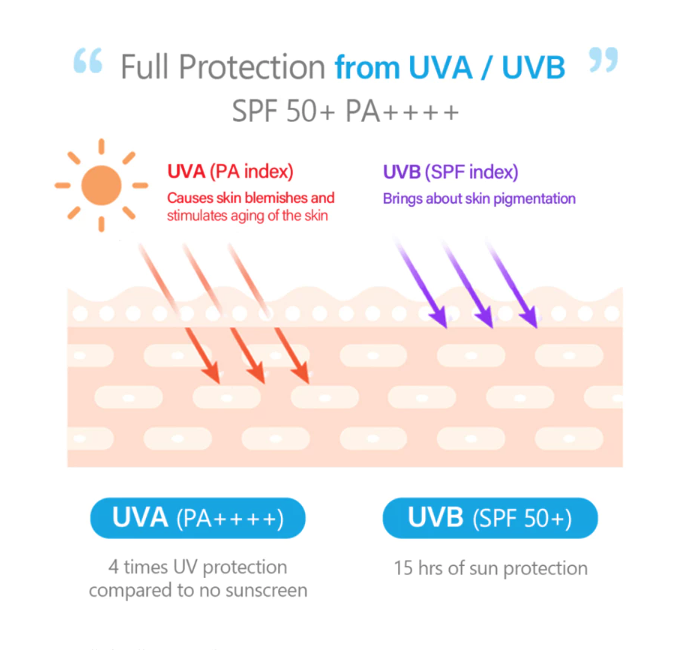 d'Alba Global d'Alba Waterfull Tone Up Sun Cream SPF 50+ PA++++