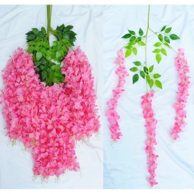 Wisteria Jumbo Daun Rambat 4