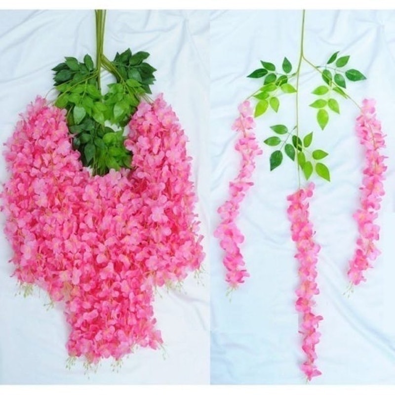 Wisteria Jumbo Daun Rambat 4