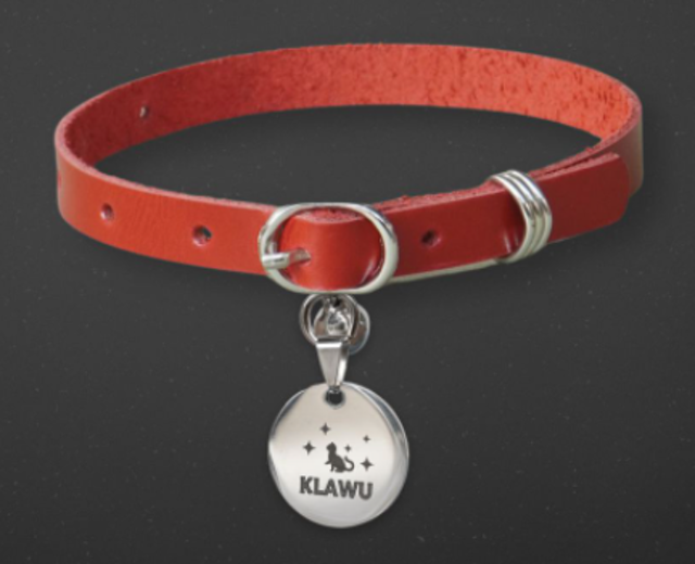 Kalung Kucing Kulit Asli Custom Liontin Stainless Steel