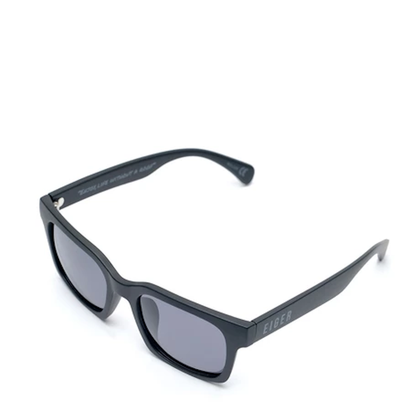 EIGER Rollick Sunglasses 2
