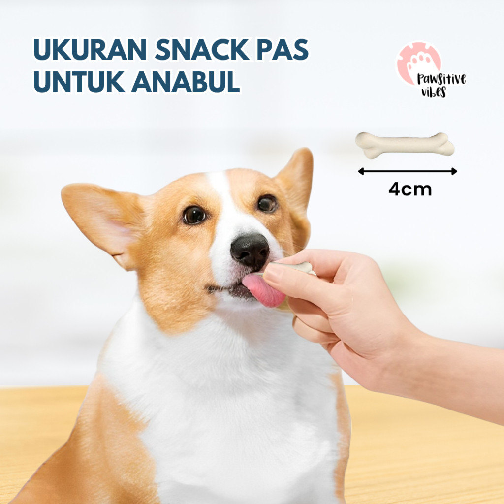 Snack Anjing Homemade 5