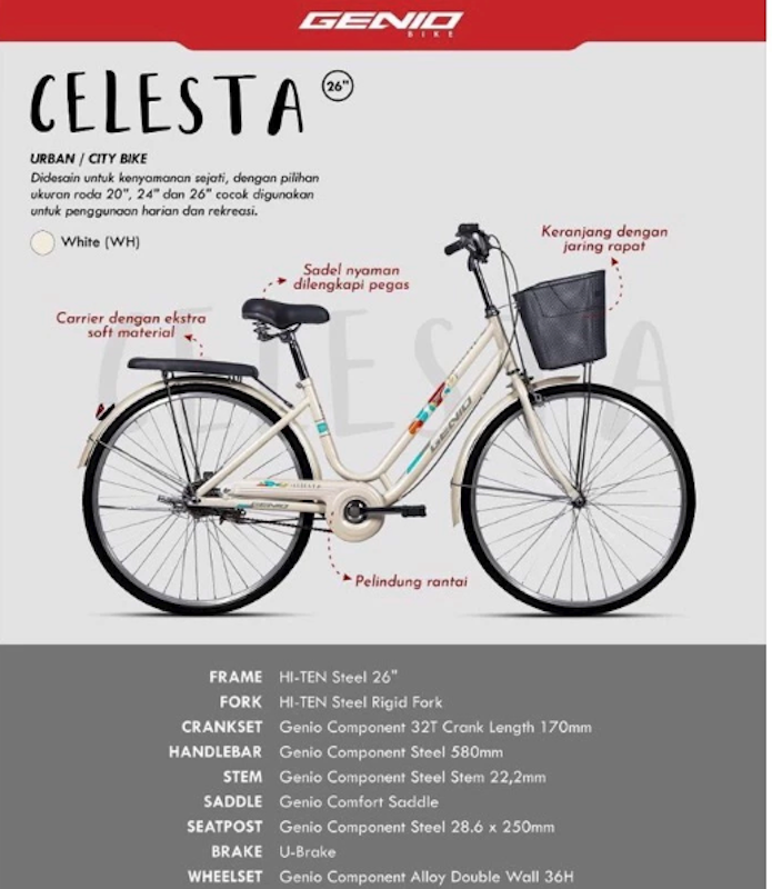 Genio Celesta 20 Inch 4