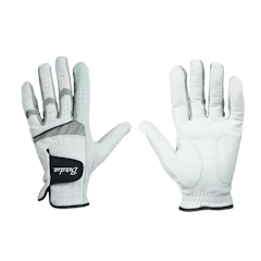 Birdie Golf Glove Men Full Leather