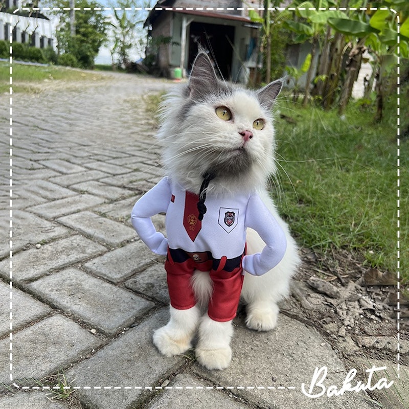 Baju Kucing Kostum Anak Sekolah 2