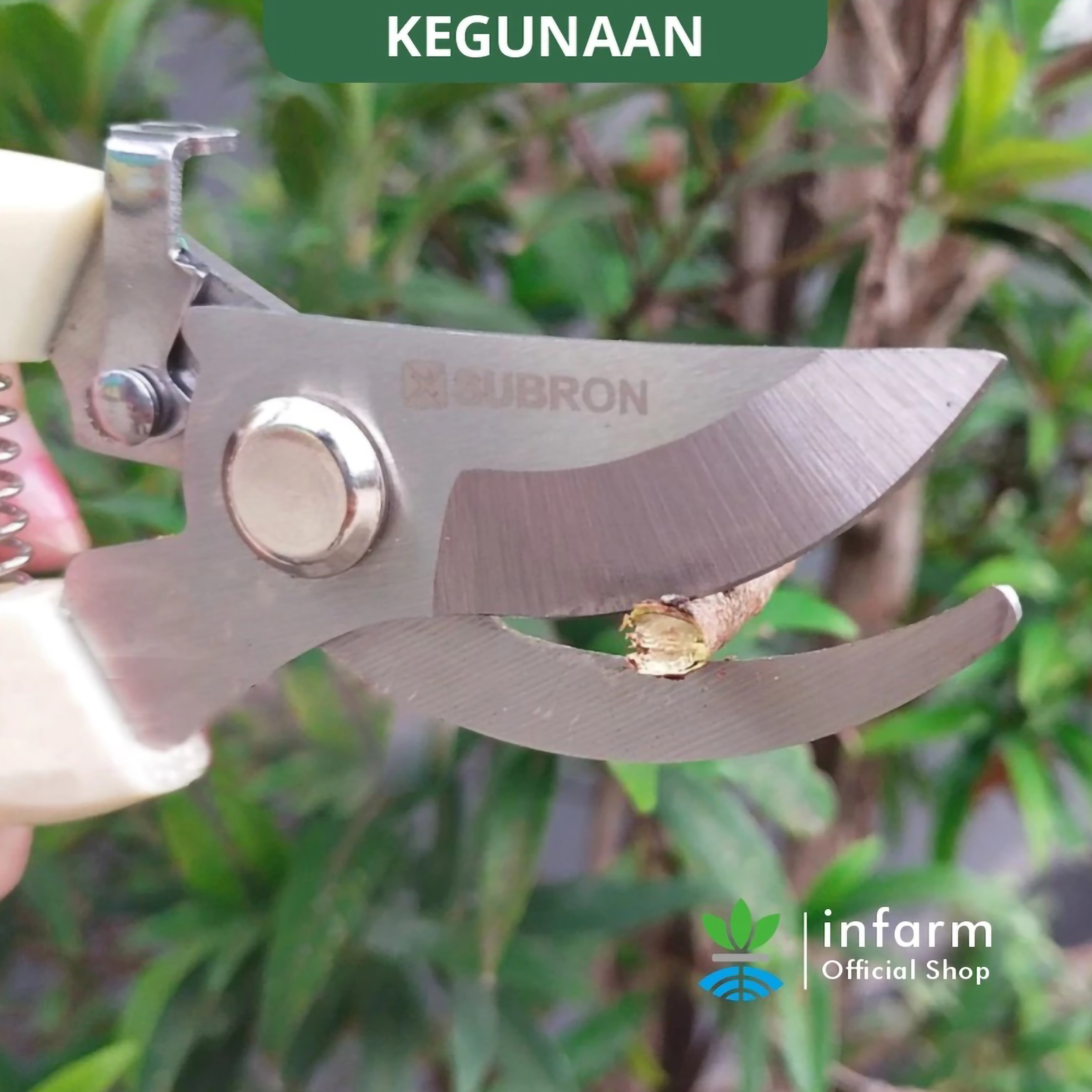  Infarm Stainless Steel Pruning Shears