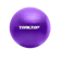 null TrailTop Gym Ball Yoga 1