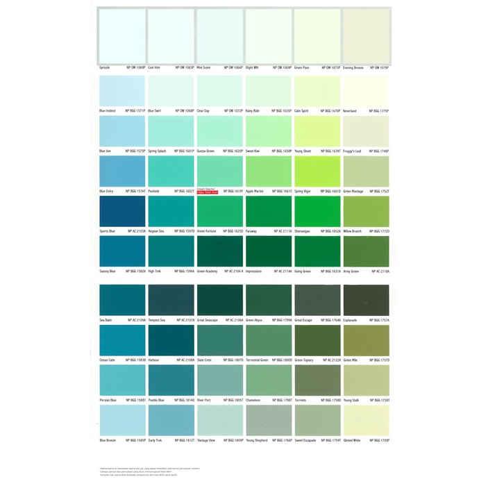 Nippon Paint Vinilex Pro1000  5