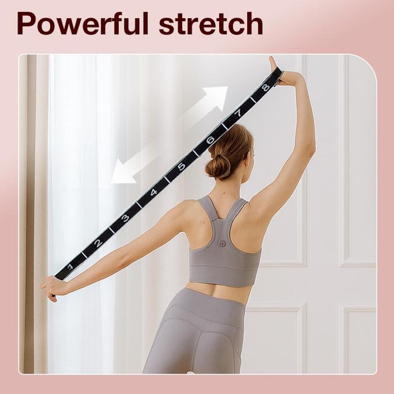 Agnite 8 Loop Segmented Resistance Band 2
