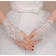 Instan Henna Sarung Tangan Pengantin 1