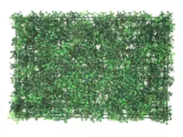 Panel Tanaman Vertikal Daun Dollar 1