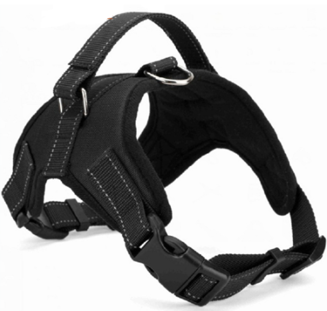 Breathable Harness Leash