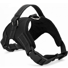 Breathable Harness Leash