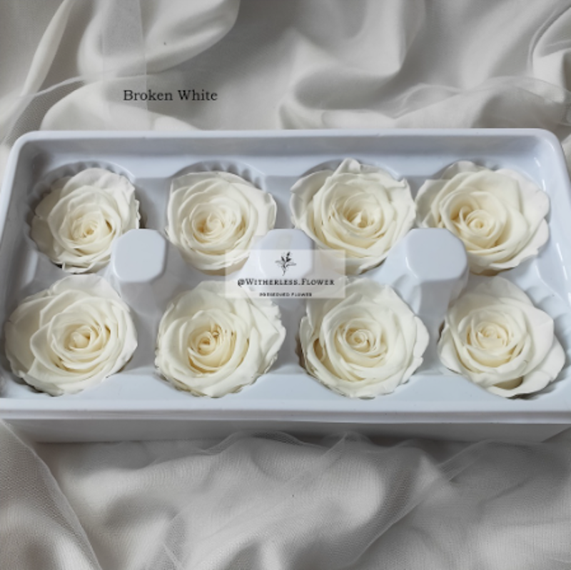 Preserved Rose 4-5 cm 2