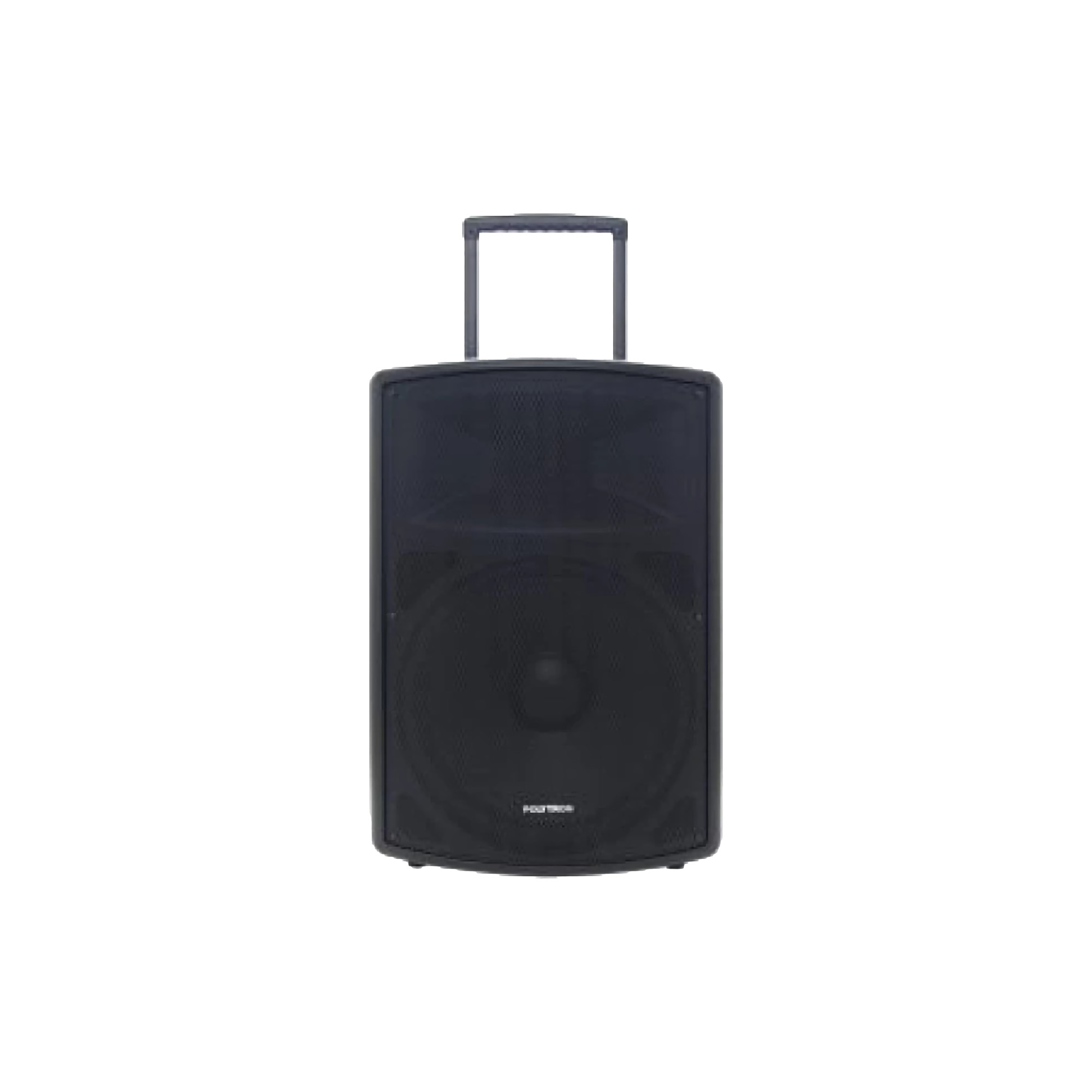 Polytron ｜ Professional Salon Active Speaker 15 inch ｜ PAS PRO15F3