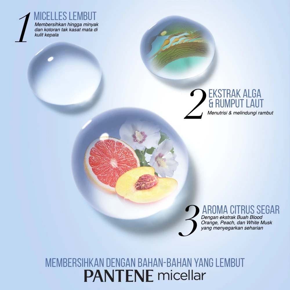 Procter & Gamble Pantene Micellar Algae Extract Detox and Purify Kondisioner