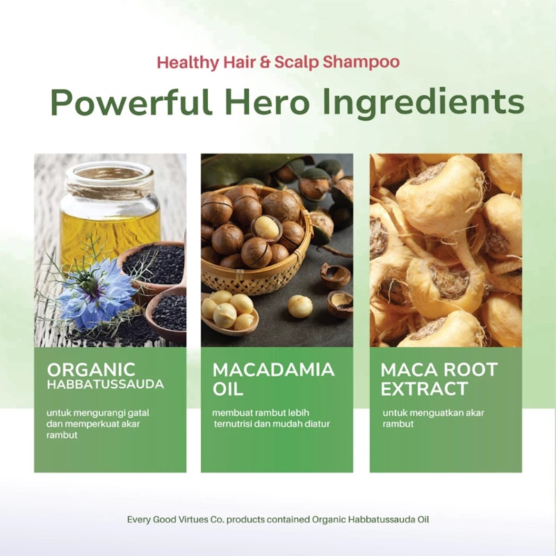 Good Virtues Co. Healthy Hair & Scalp Shampoo 4