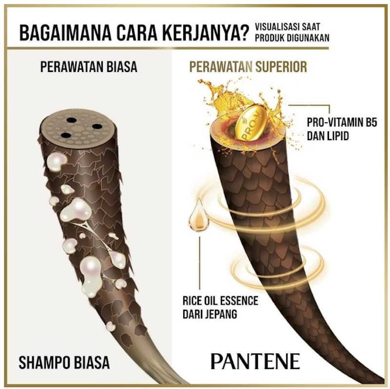 Anti Lepek Shampo Pro Vitamin 5