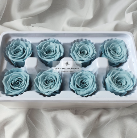Preserved Rose 4-5 cm 4