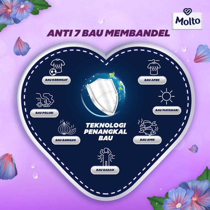 Molto Pewangi Purple 4
