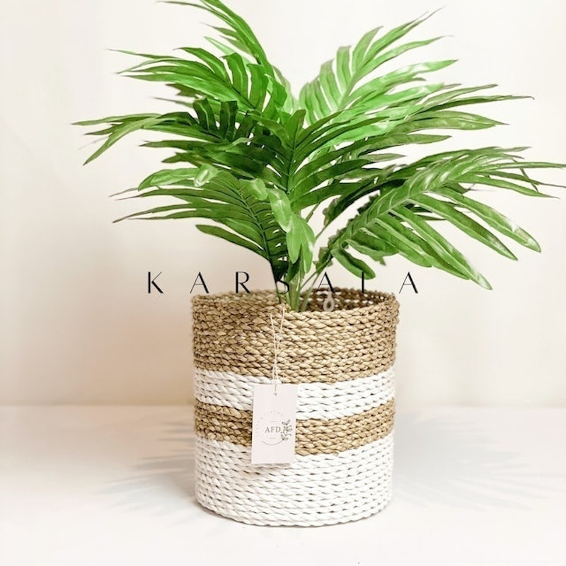 Lolly Cover Pot 4