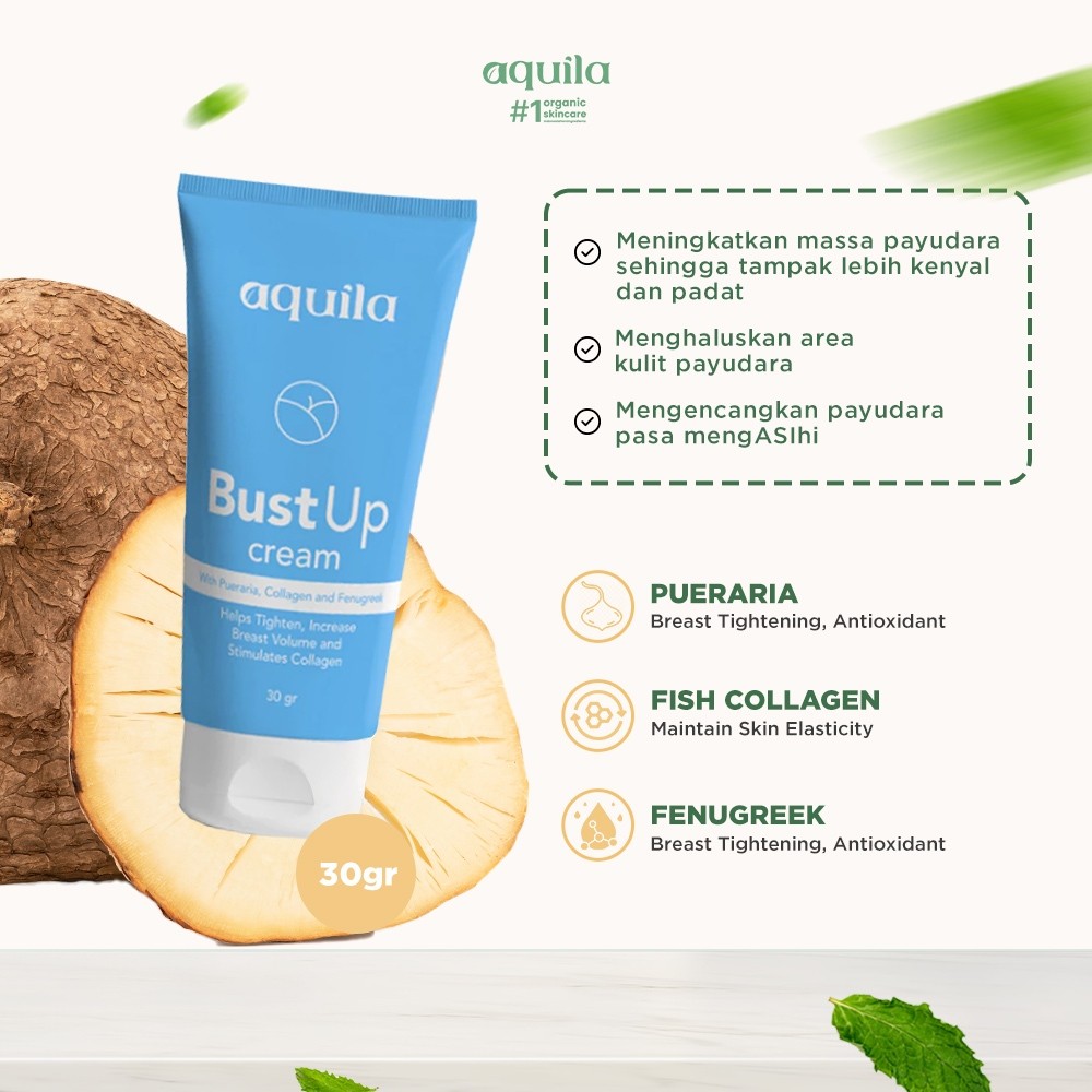 Aquila Natural Globalindo Aquila Bust Up Cream