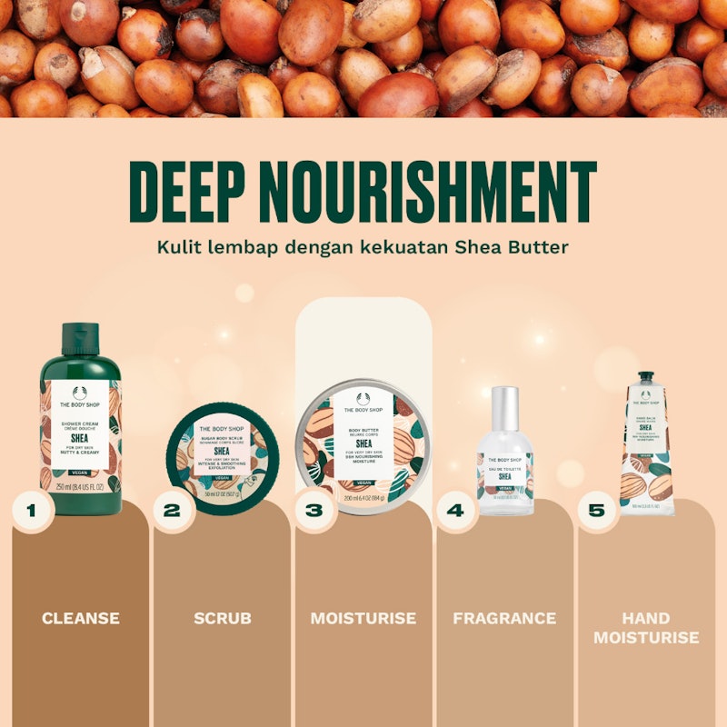 New Shea Body Butter 3