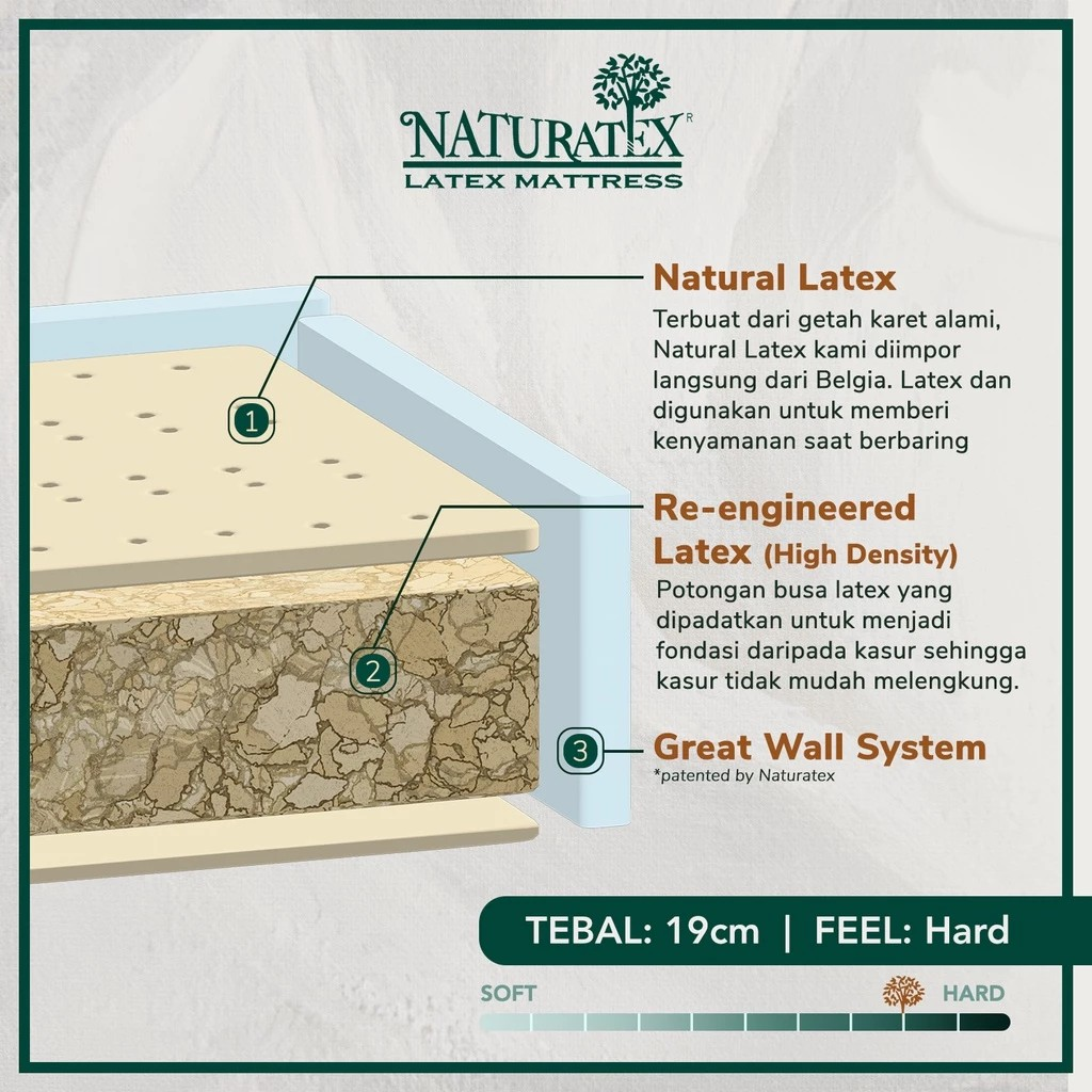 Latexindo Internusa Naturatex™ Hotel Bed Bodypedic