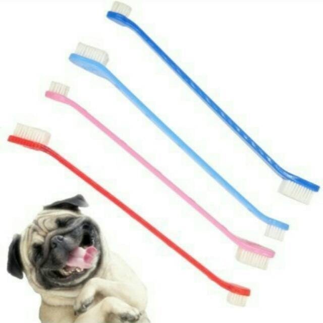  Sikat Gigi Anjing Kucing Musang