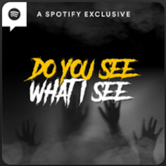 Do You See What I See?