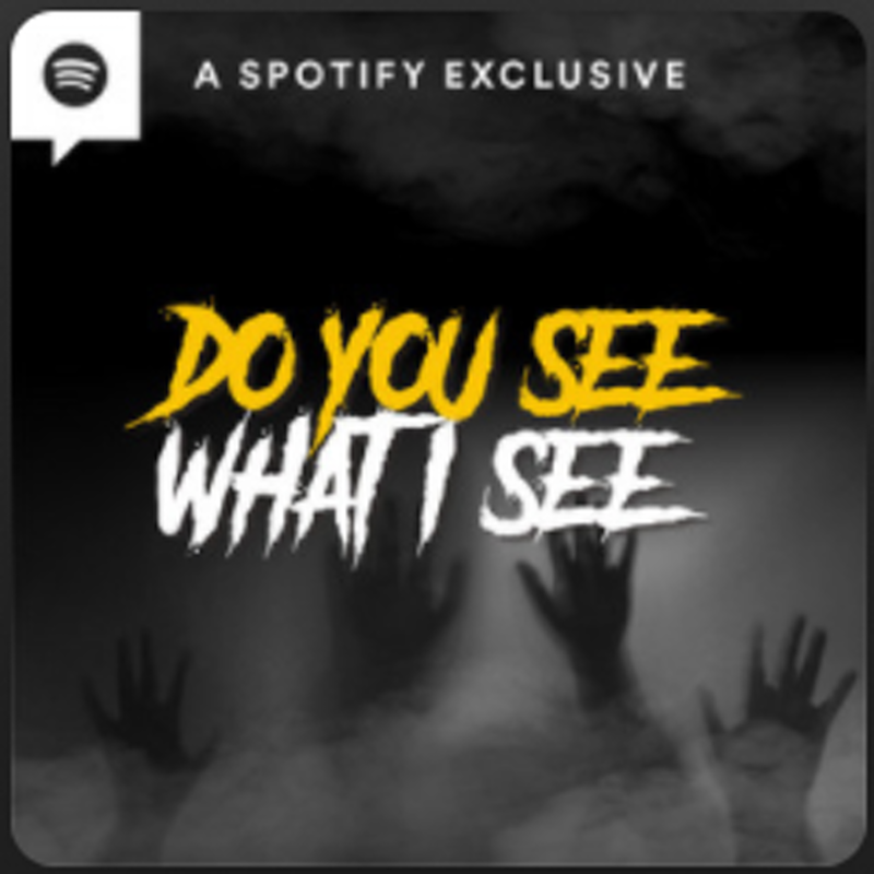 Do You See What I See? 1