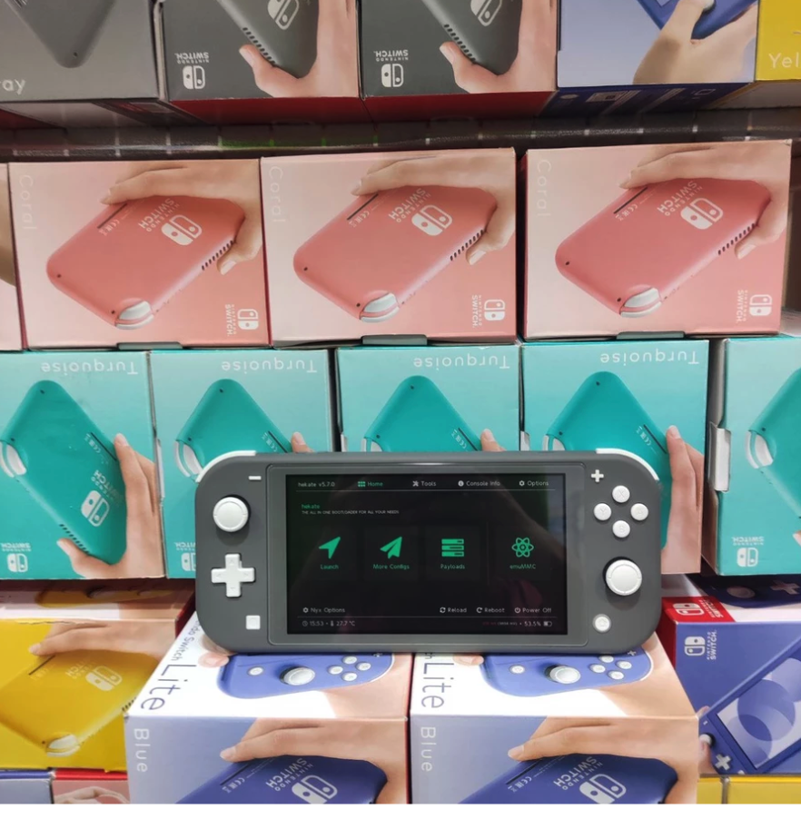 Nintendo Nintendo Switch Lite