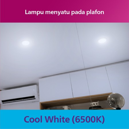 Philips Electronics Nederland B.V. Philips Magneos LED Downlight 12W Cool Daylight DL262 