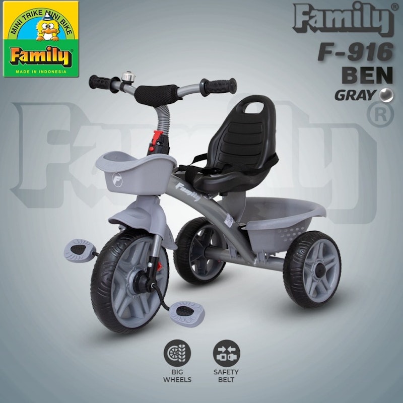 Family Sepeda Roda Tiga 4
