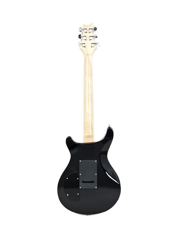 Paul Reed Smith SE Paul's Guitar 4