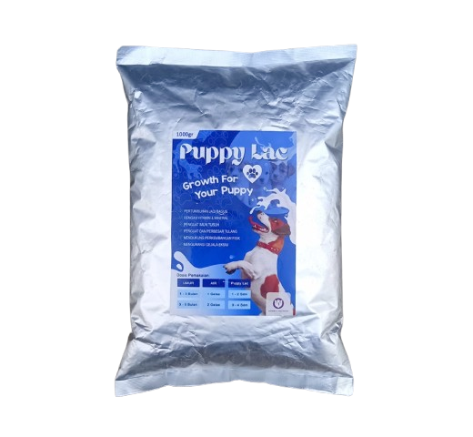Puppy Lac Susu Anjing 1