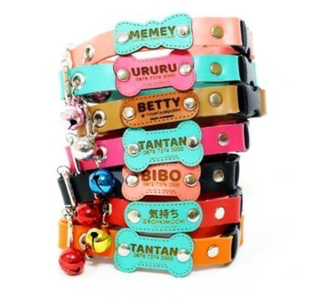 Pet Tag Collar Set Custom