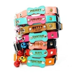 Pet Tag Collar Set Custom
