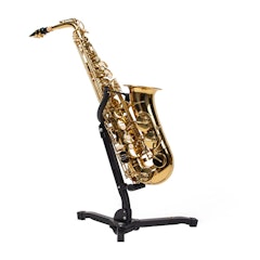 Alto Saxophone Gold