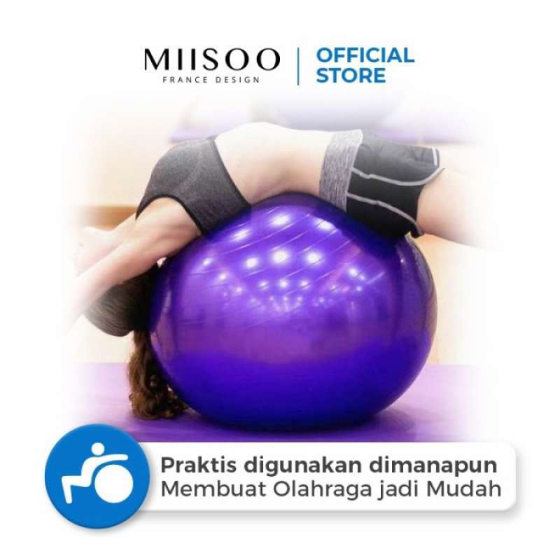 Dunia Internet Teknologi MIISOO Gym Ball
